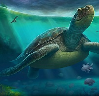 Scientists Discover 4,000 pound, 12-feet-long Turtle That Lived During Cretaceous Period