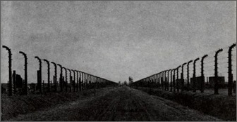 The Road to Totalitarianism (Revisited)