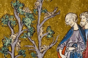 Locusts; or A Tale of Monstrous Foolishness