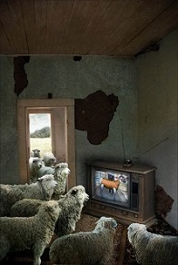 Land of Spooks and Shills and Sheeple