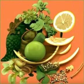 Mediterranean and Japanese Diets, Herbs, Longevity  Brain Health: An Analysis